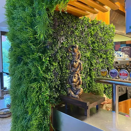 Отель Diplomat Marine Каттолика