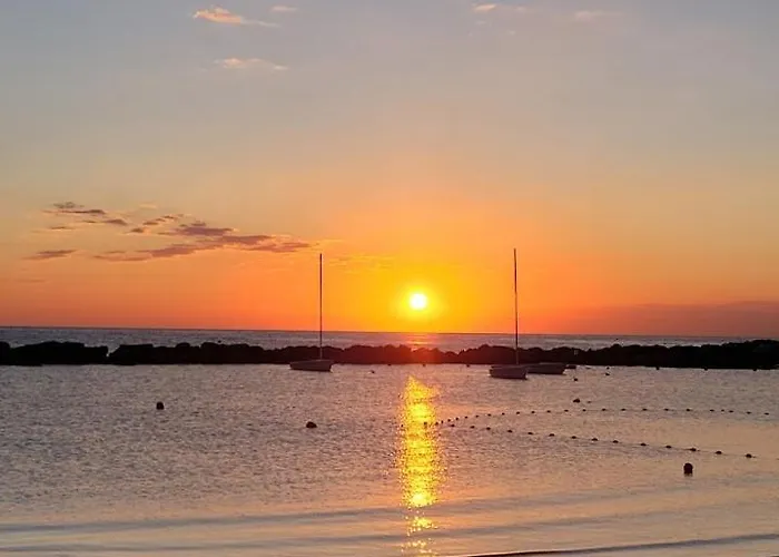 Hotel Diplomat Marine