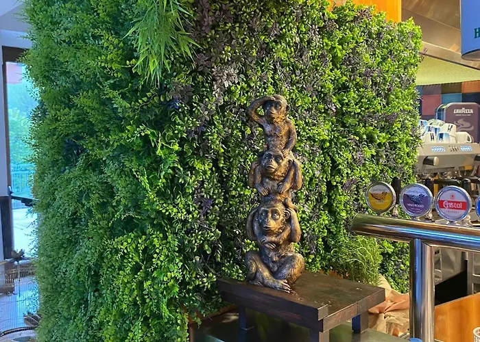 酒店 Diplomat Marine 卡托利卡