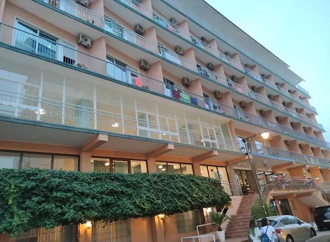 Diplomat Marine Cattolica