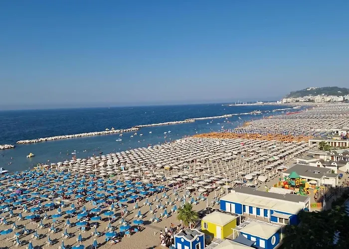 Diplomat Marine 卡托利卡